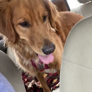 Meet your Posher, Chelsi